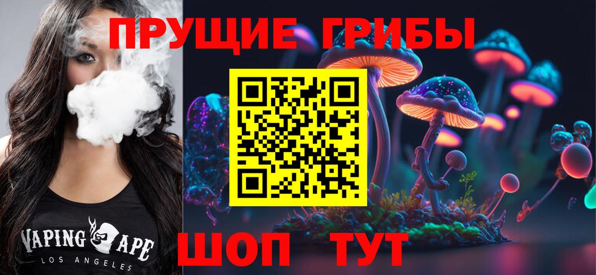 Наро-Фоминск  Галлюциногенные грибы Cubensis  Вход с VPN  Галлюциногенные грибы Psilocybe 